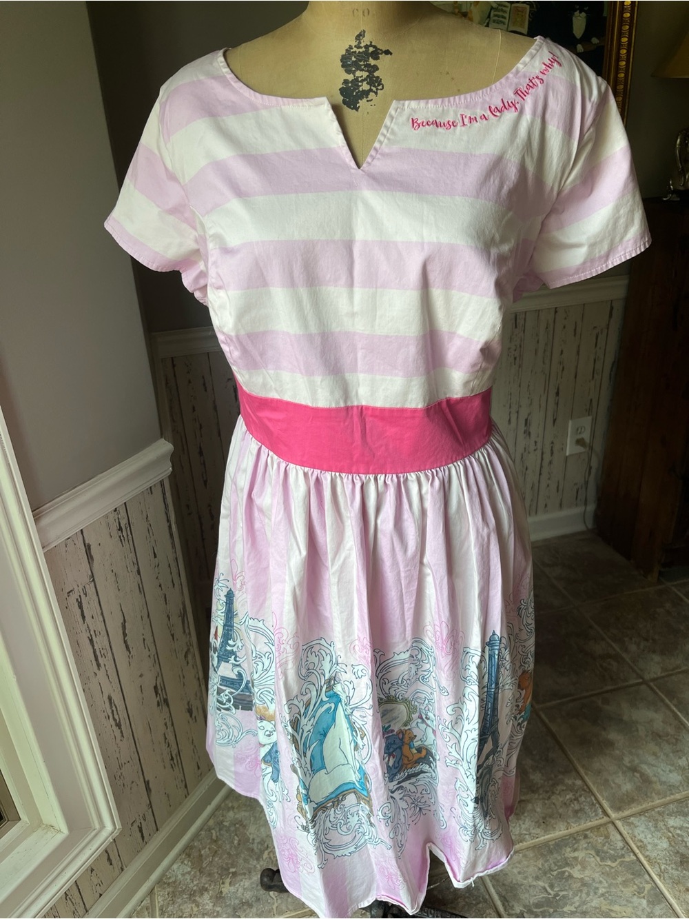 DISNEY'S ARISTOCATS 2XL DRESS The Dress Shop